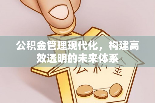 北关公积金管理现代化，构建高效透明的未来体系